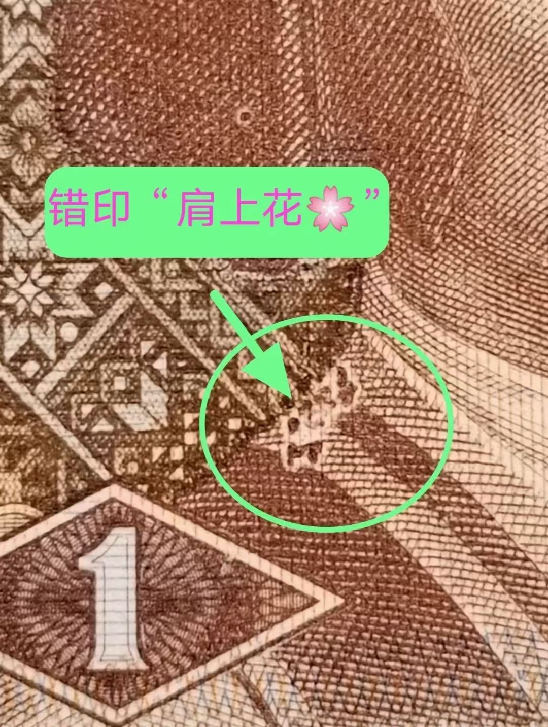 欣赏早期背红错币肩上花、内无1标十