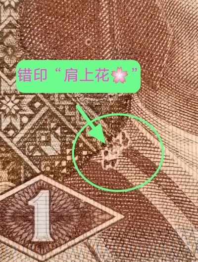 欣赏早期背红错币肩上花、内无1标十
