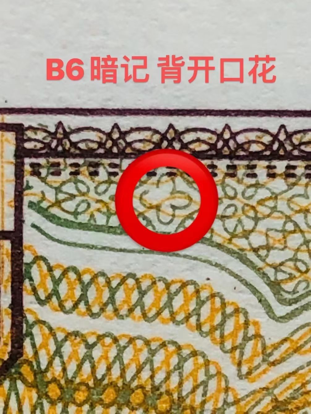 欣赏精品瑕疵币——8001红纽扣标十