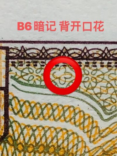 欣赏精品瑕疵币——8001红纽扣标十