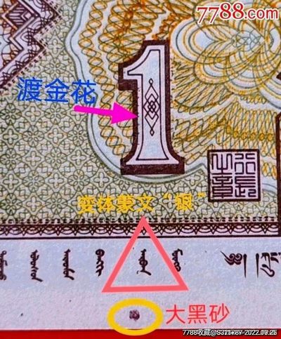 特珍稀QC1019金巧王标十一组