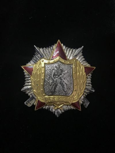 戎马世界章牌大赏第42期（727朝鲜战争停战日纪念专场，7月28日开拍） - 朝鲜二级战士荣誉勋章（早期平板，品相十分完美）