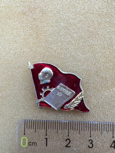 红色收藏异型小像章专拍 - 红色收藏像章专场