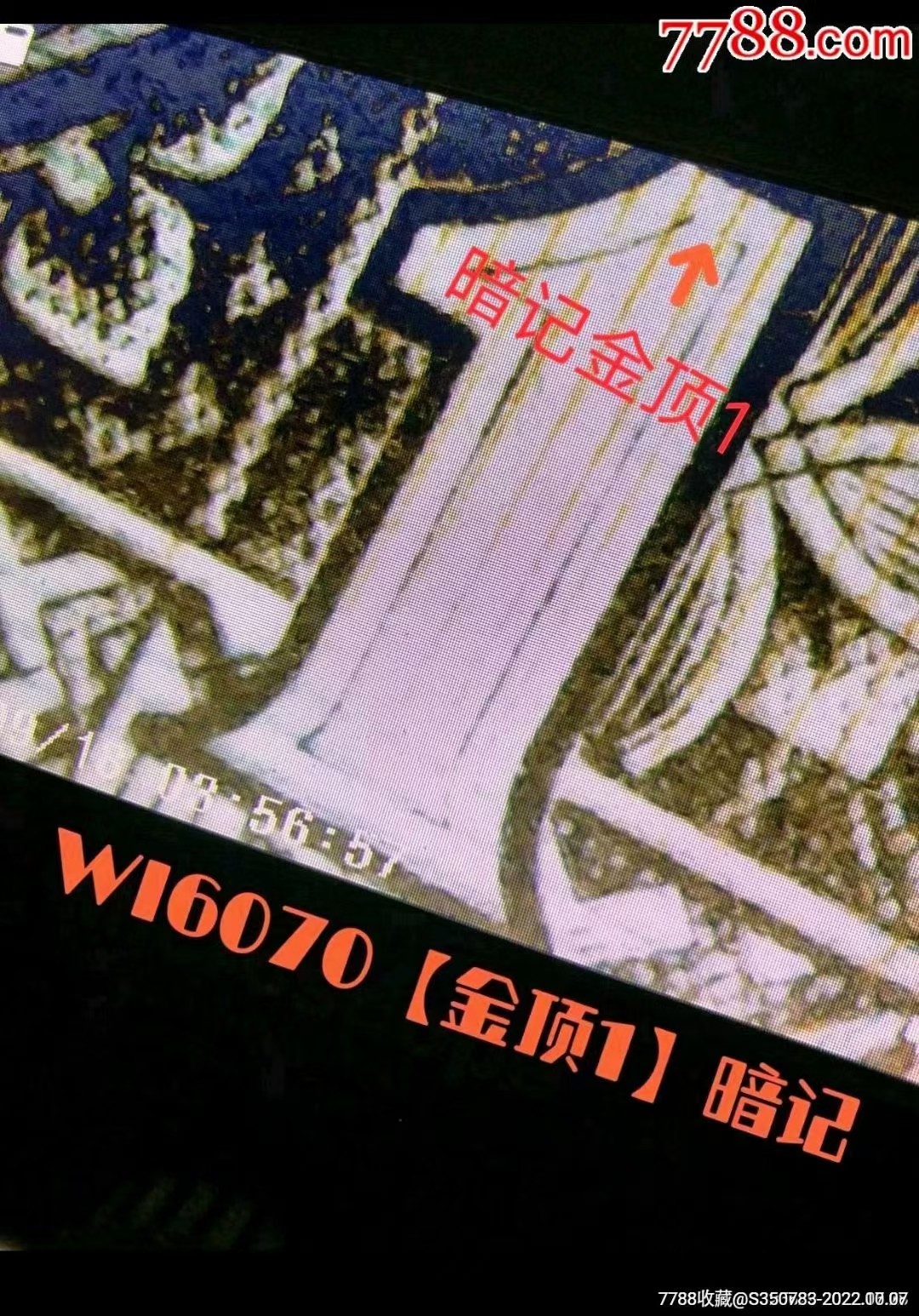 WI6070三环绿星背巧王