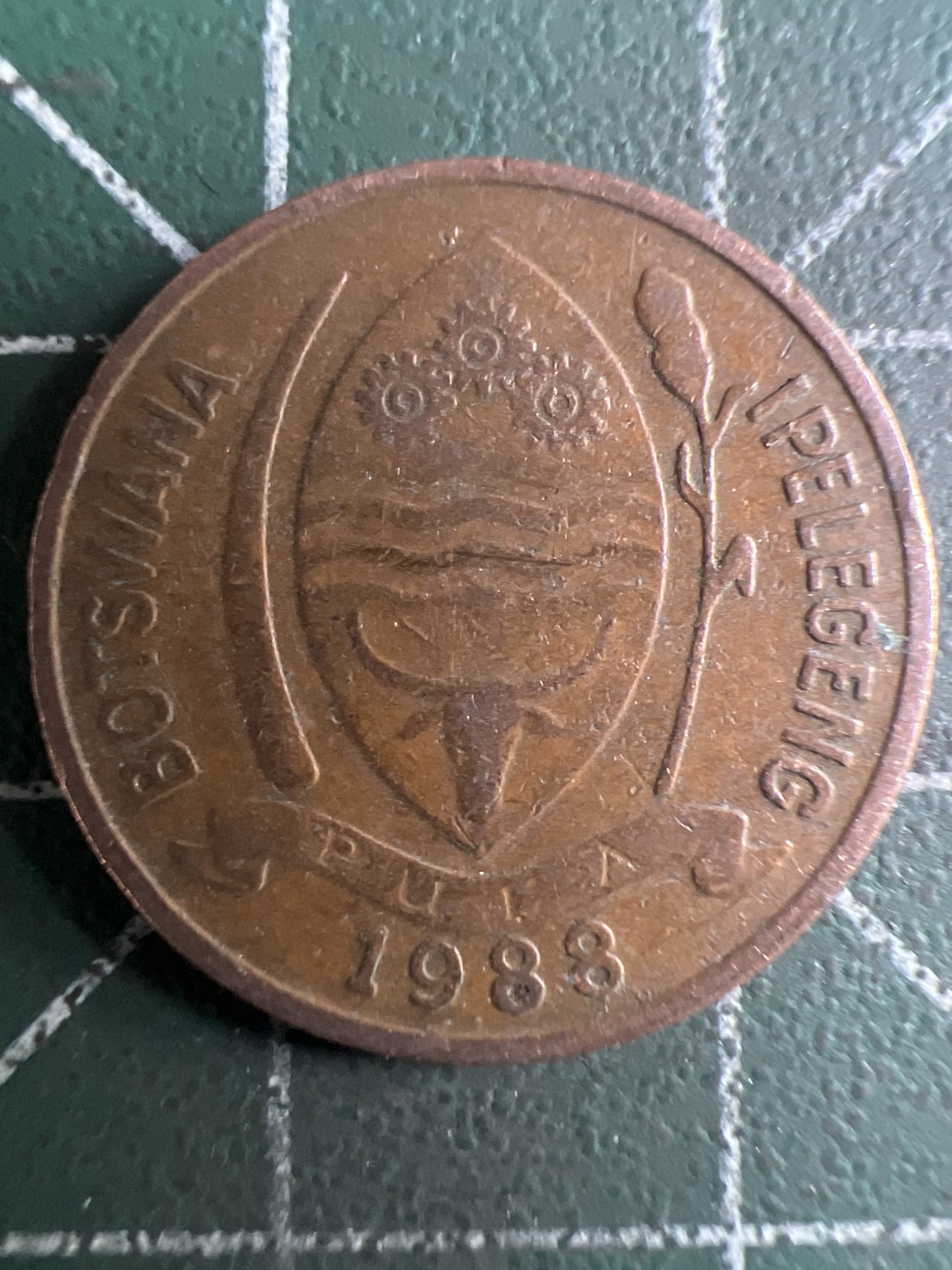 泡泡堂第362期  硬币专场 （无押金，捡漏，全场20包邮，偏远地区除外，接收代拍业务） 博茨瓦纳5瑟比