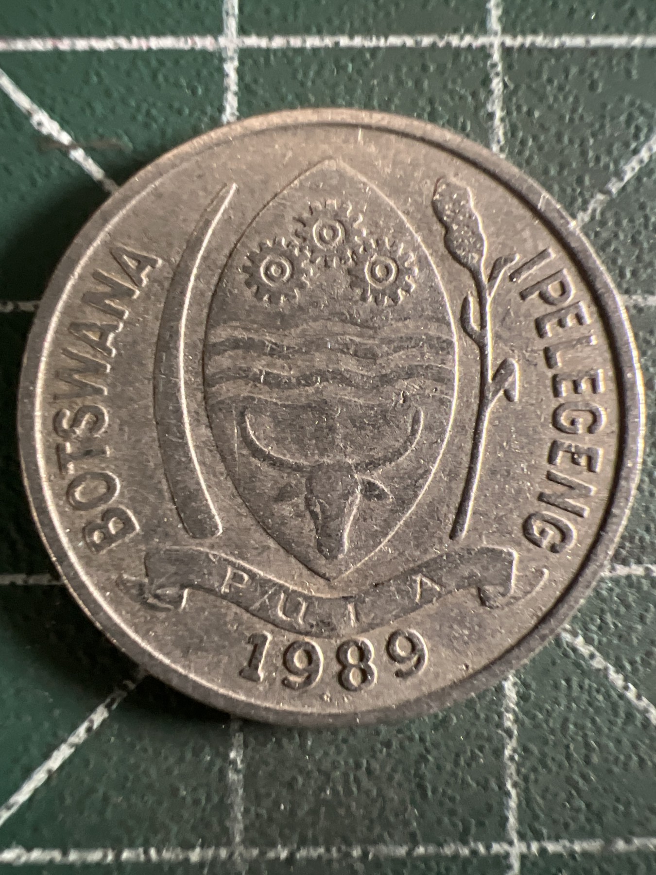 泡泡堂第361期  硬币专场 （无押金，捡漏，全场20包邮，偏远地区除外，接收代拍业务） 博茨瓦纳10瑟比