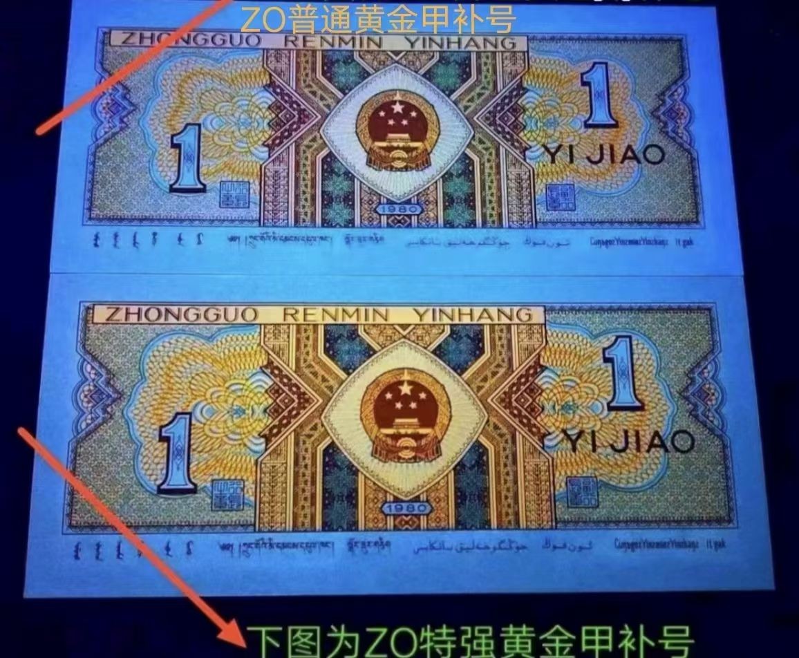 正宗ZO08头顶级特强黄金甲补号标十