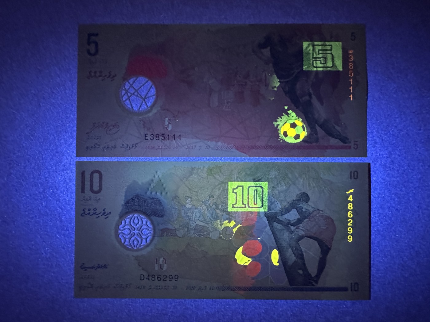 《张总收藏》111期—外币精品荟萃-海外名人特别场 马尔代夫5、10元2张 UNC 塑料钞