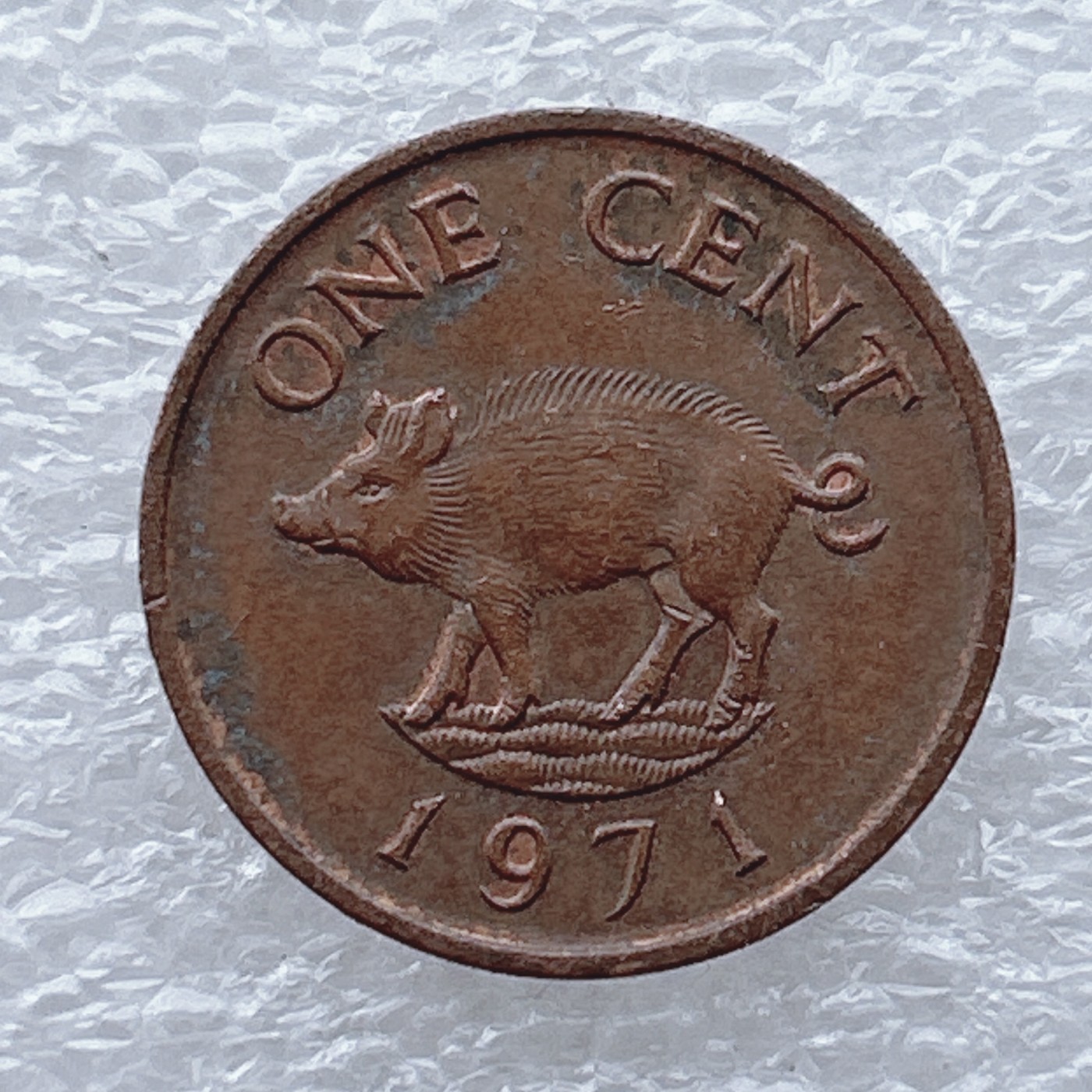 全场一元起拍 世界钱币散币场 第九期 英属百慕大群岛1971年1分 青铜币