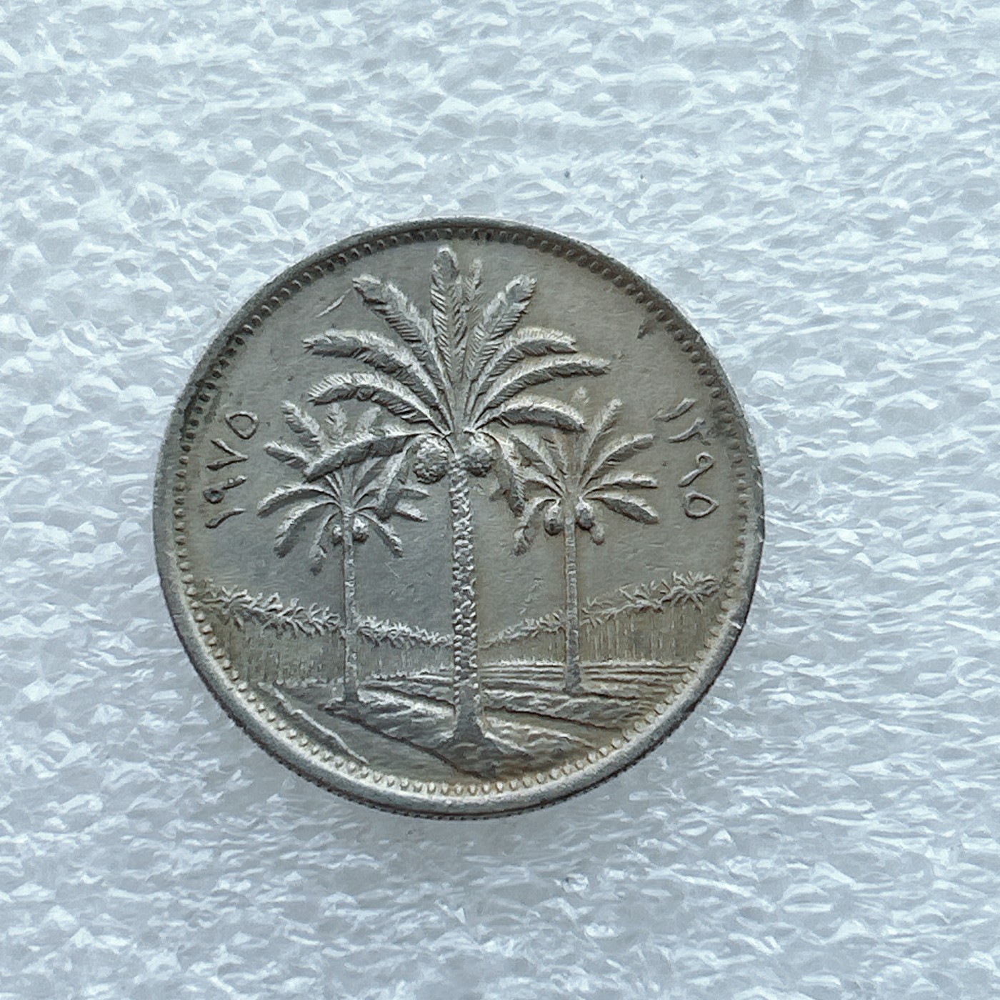 全场一元起拍 世界钱币散币场 第九期 伊拉克50费尔