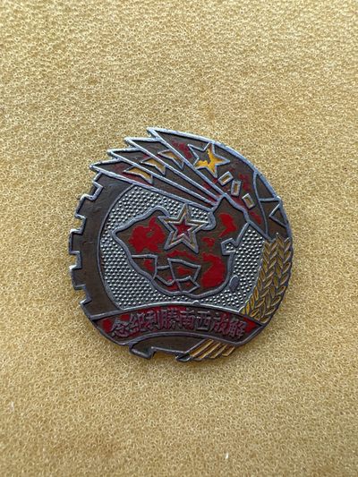 早期纪念章专拍 - 解放西南胜利纪念