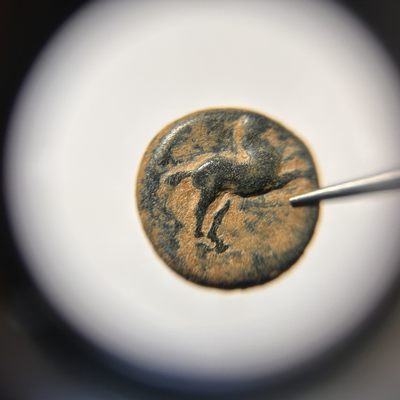 【钱币小铺】古希腊罗马钱币专场 - 菲洛梅利翁铜币 公元前2-1世纪 4.42g 15m m
