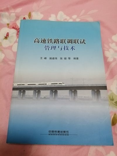 高速铁路联调联试管理与技术 - 高速铁路联调联试管理与技术