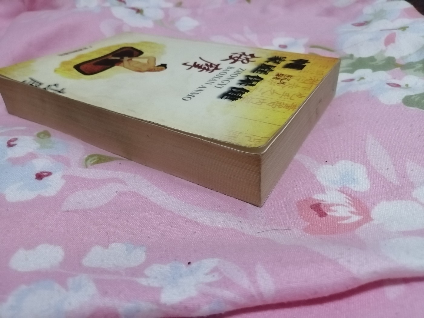 中医按摩入门——中医家庭保健系列