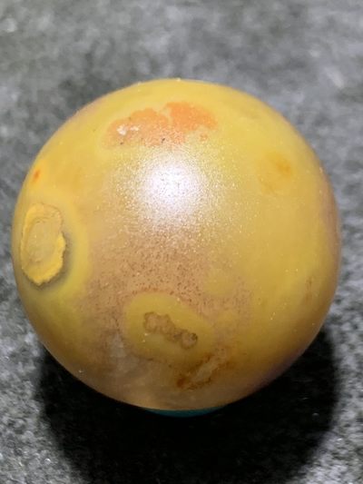 精美冰飘亚光战国红玛瑙手工巧雕富贵有鱼2.0圆珠一个，寓意，富贵有余， 精美冰飘亚光战国红玛瑙手工巧雕富贵有鱼2.0圆珠一个，寓意，富贵有余，