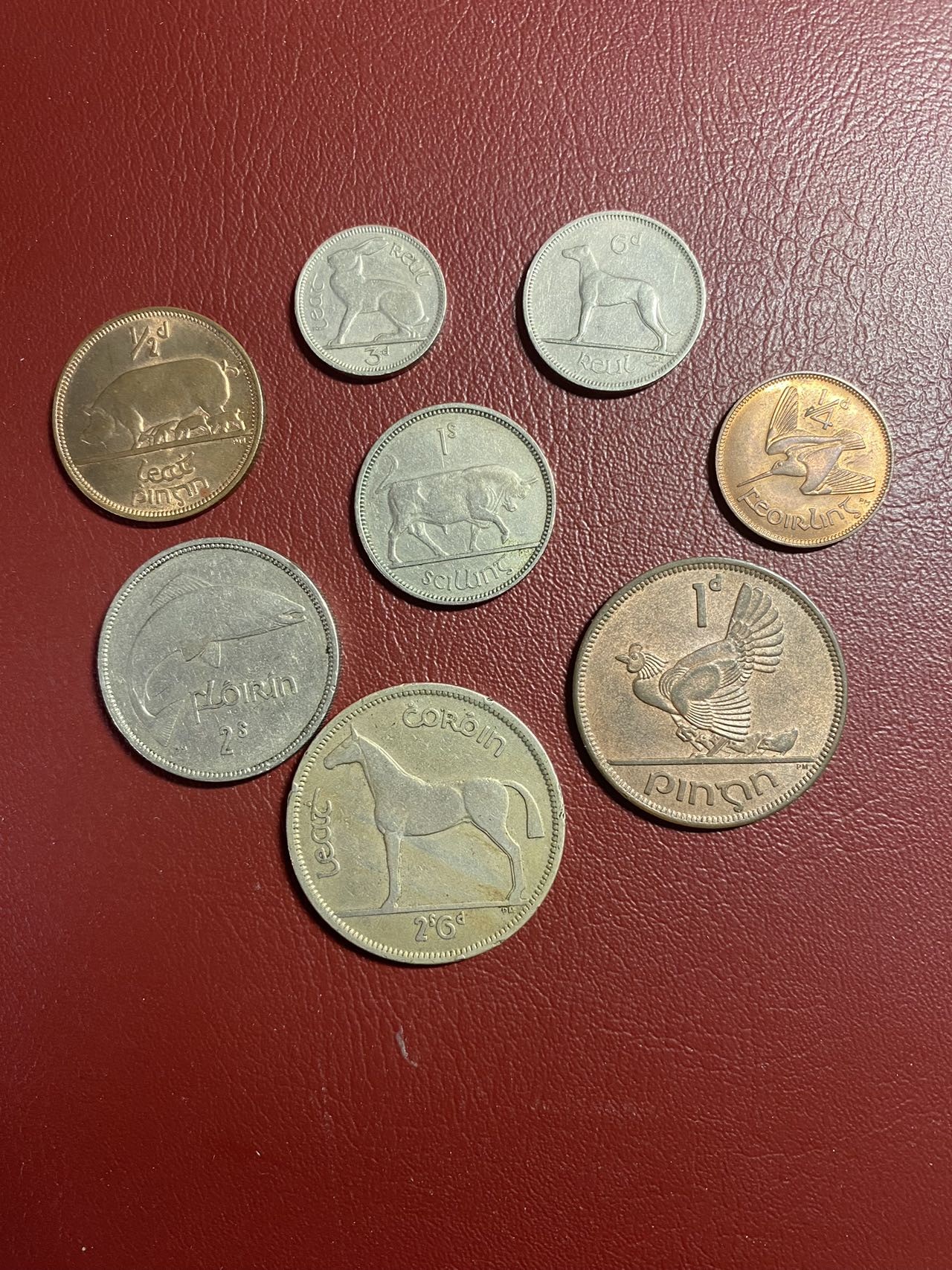 硬币专场11 爱尔兰 50年代硬币全套