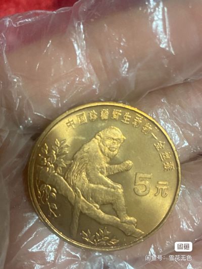 小英开心拍第721期 - 珍稀野生动物金丝猴纪念币 卷拆原光，紫铜纪念币，偏远地区不包邮