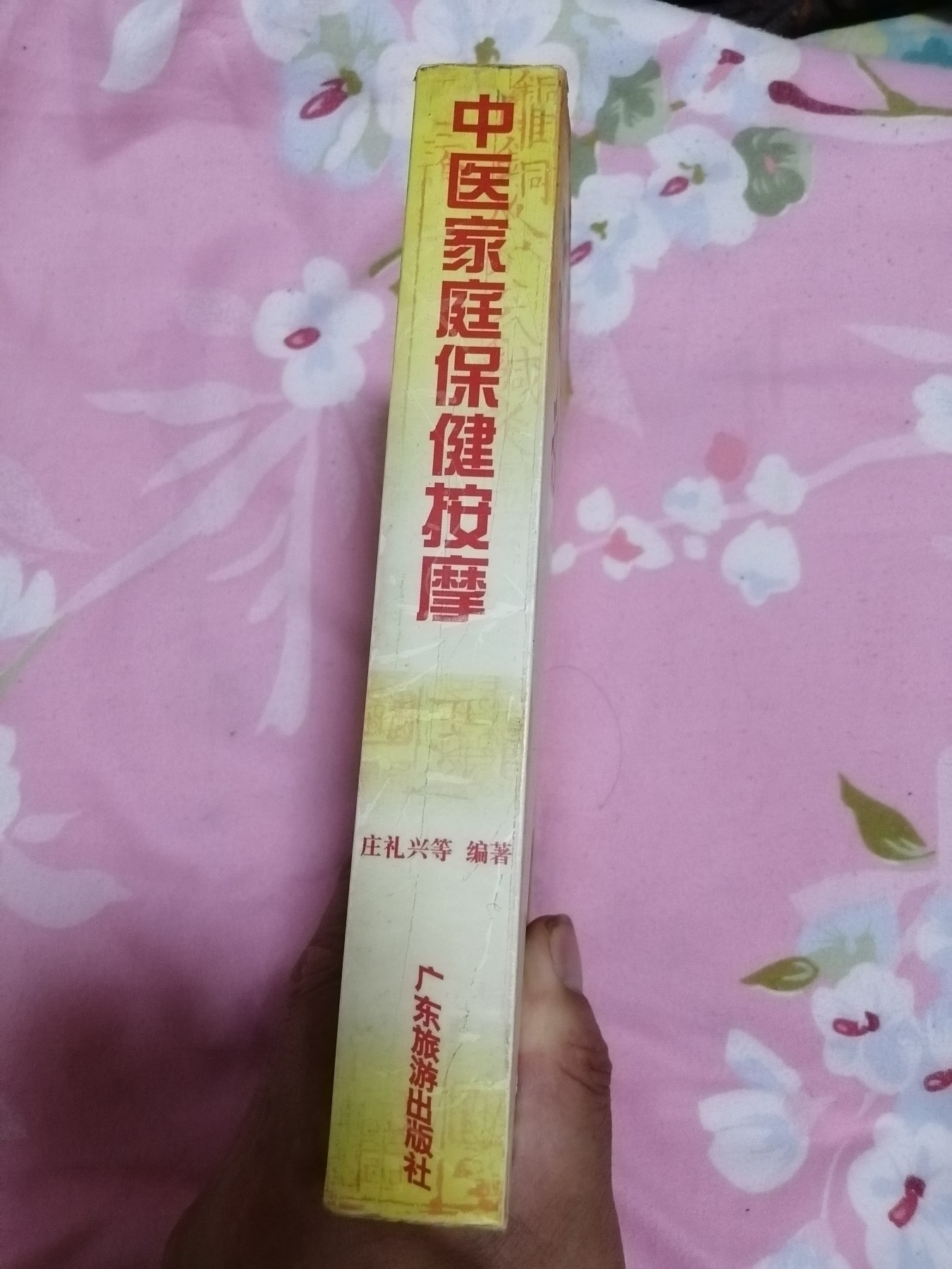 中医按摩入门——中医家庭保健系列