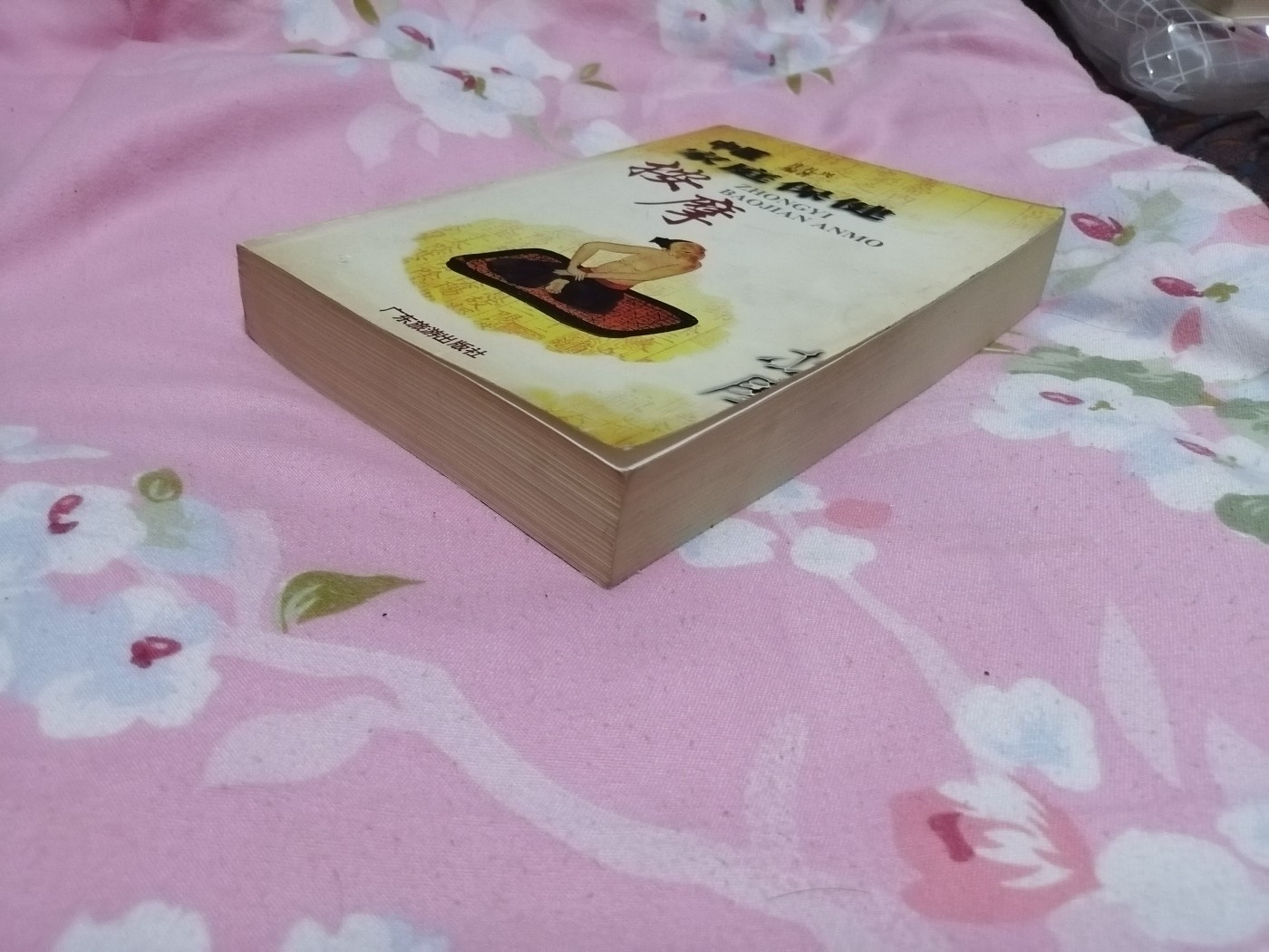 中医按摩入门——中医家庭保健系列