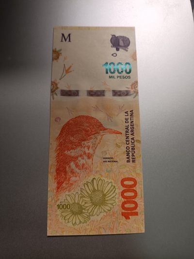 【专场20230724】因为明天有事要出门所以提前搞个大拍卖的临时专场，本周仅此一场 - 【拍品001】阿根廷2018版1000比索UNC双冠