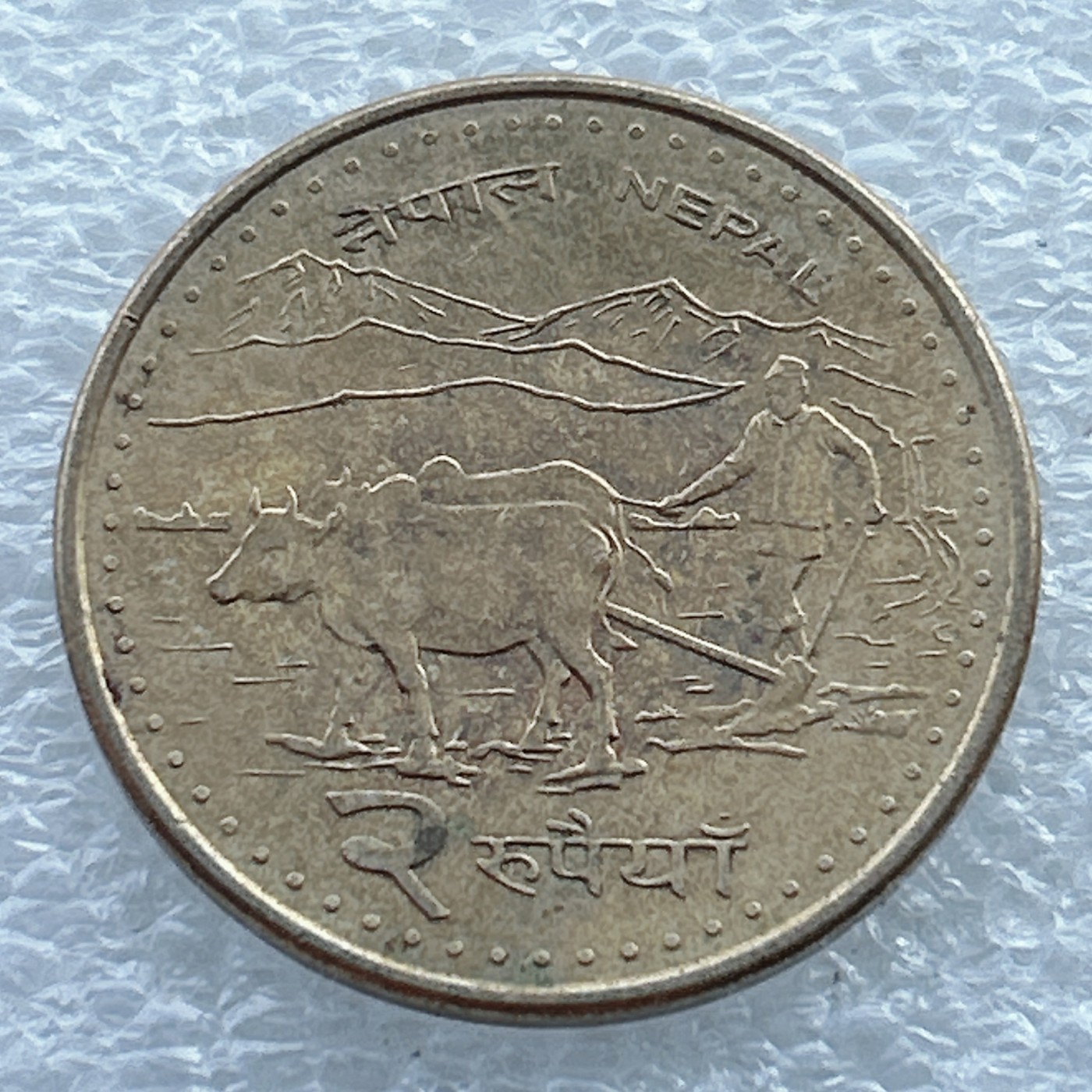 全场一元起拍 世界钱币散币场 第11期 尼泊尔2卢比 耕牛农耕