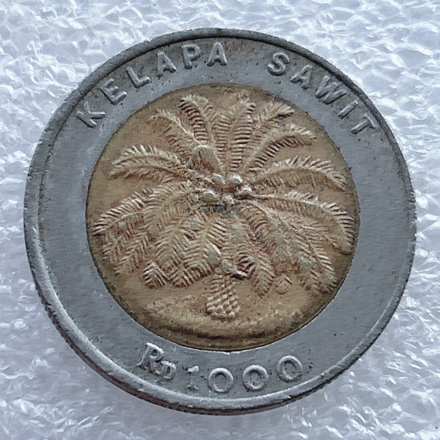 全场一元起拍 世界钱币散币场 第11期 2000年印度尼西亚1000卢比 双色镶嵌币