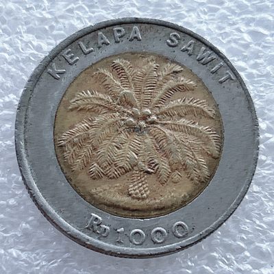 全场一元起拍 世界钱币散币场 第11期 2000年印度尼西亚1000卢比 双色镶嵌币