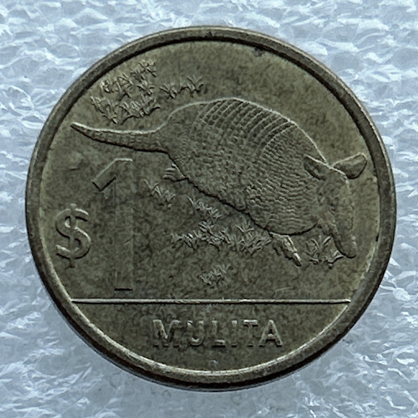 全场一元起拍 世界钱币散币场 第11期 乌拉圭犰狳1比索 2012年