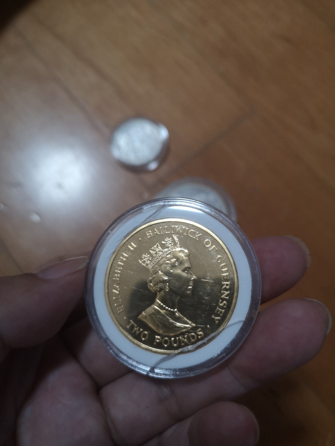 长老汇第24场老银币拍卖 1997根西WWF保护自然环境5英镑镀金银币
