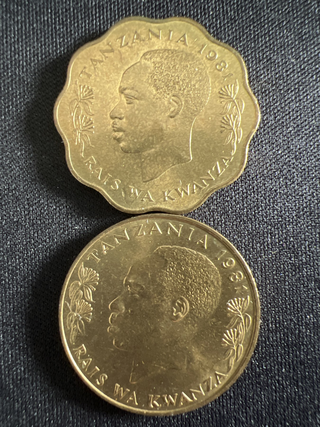 泡泡堂第366期  硬币专场 （无押金，捡漏，全场20包邮，偏远地区除外，接收代拍业务） 坦桑尼亚两枚