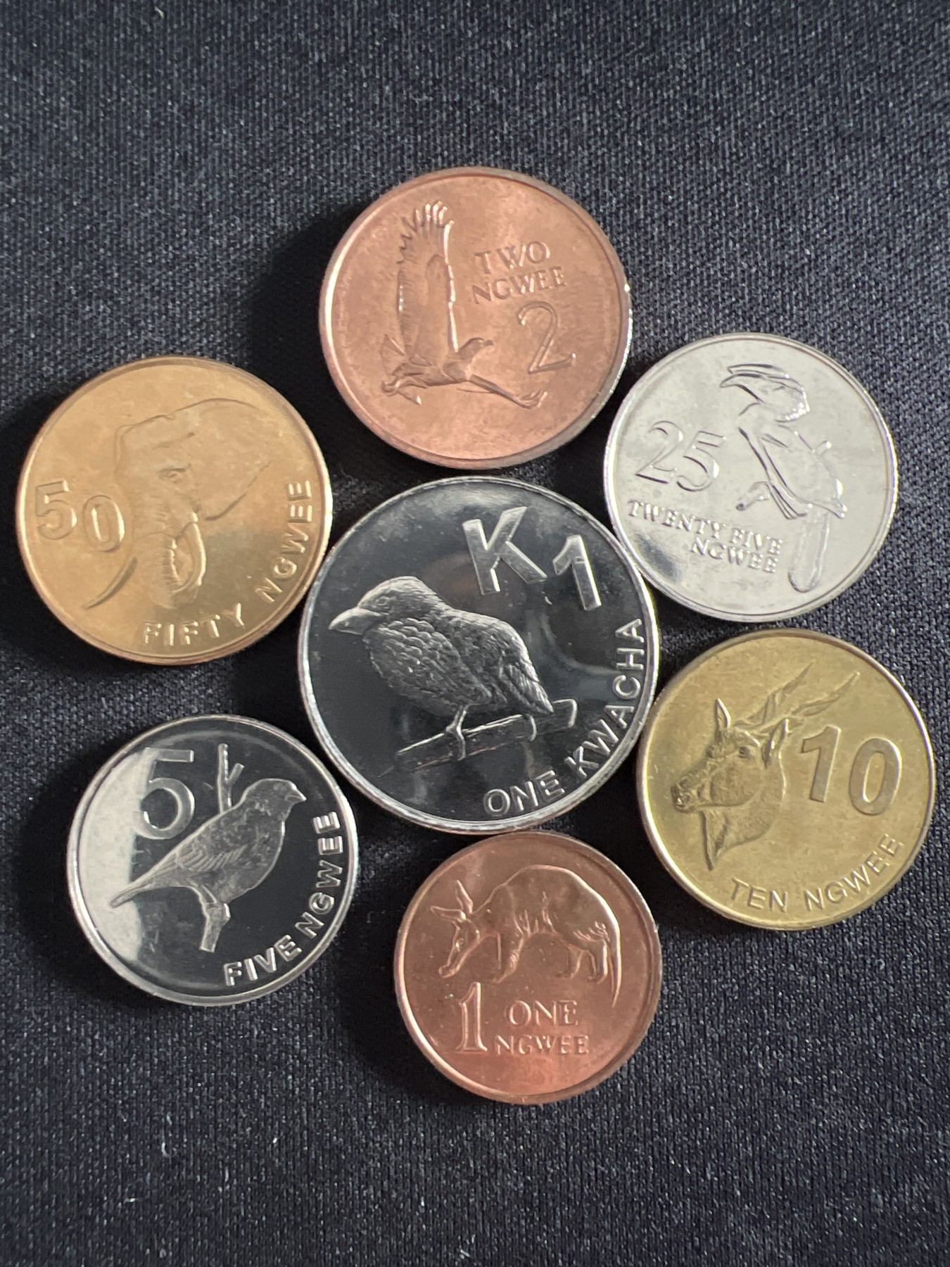 泡泡堂第366期  硬币专场 （无押金，捡漏，全场20包邮，偏远地区除外，接收代拍业务） 赞比亚七枚