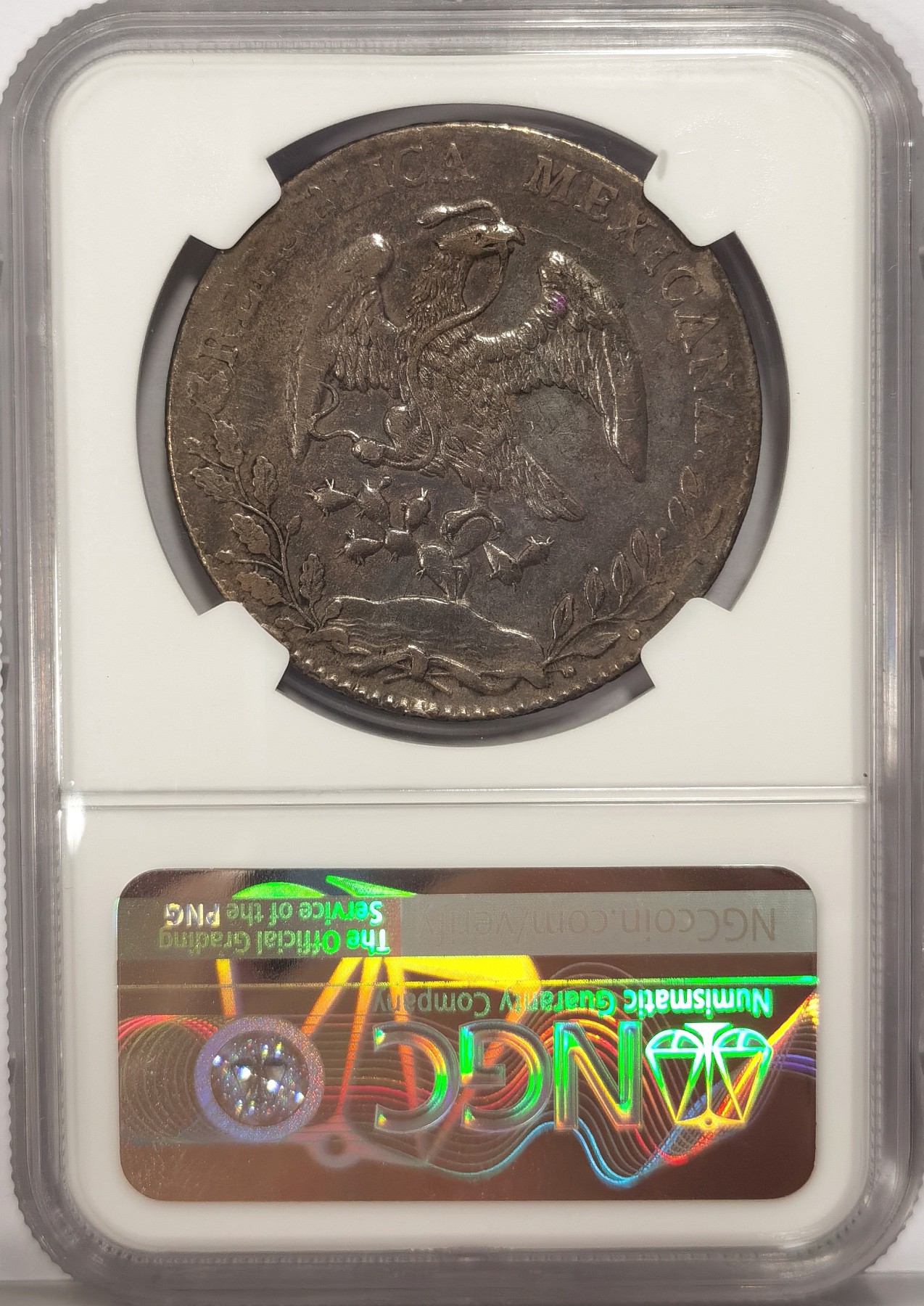 博洋堂世界钱币拍卖第036期（全场包邮） NGC XF 墨西哥1884年MO MH版花边鹰洋