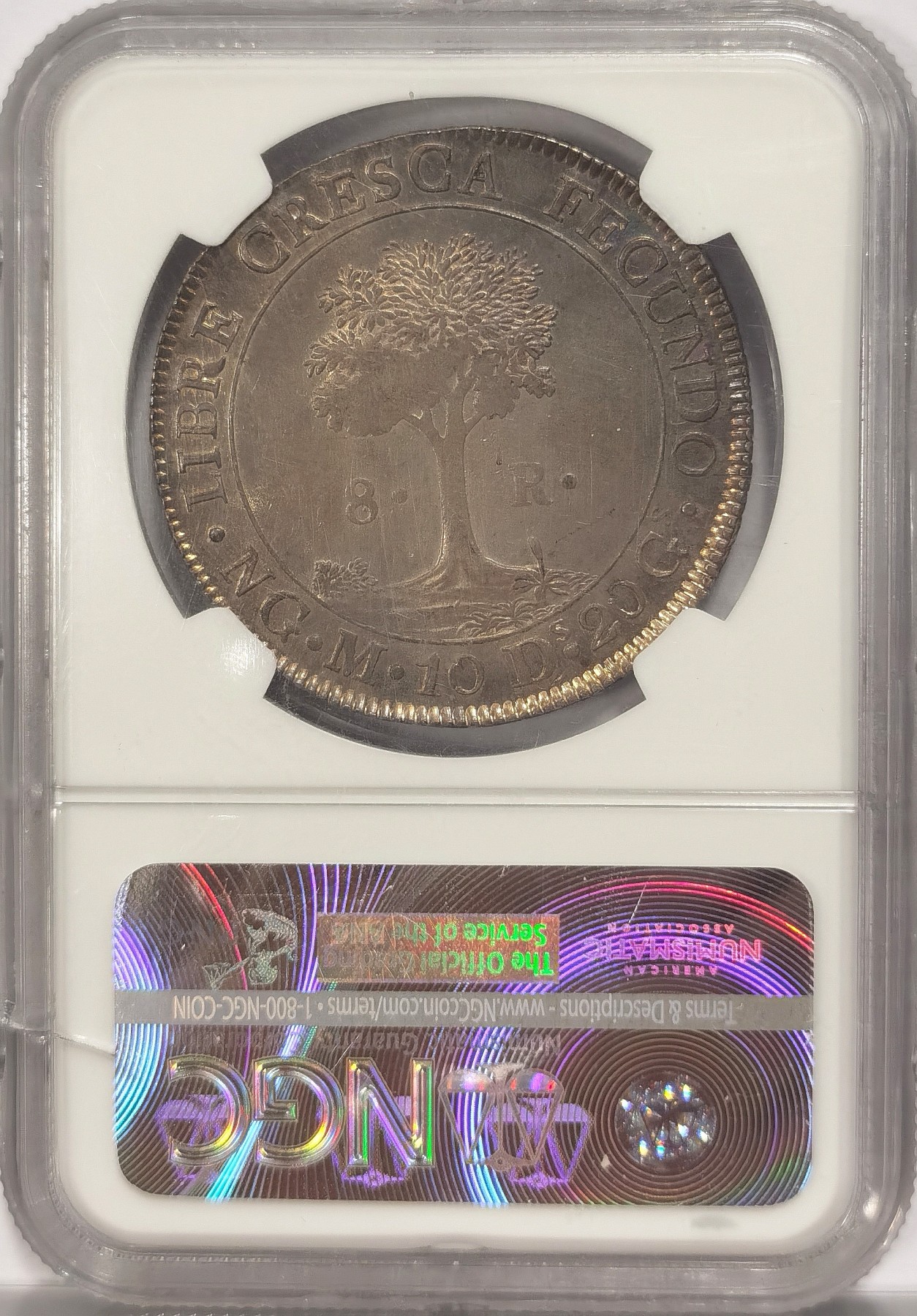 博洋堂世界钱币拍卖第036期（全场包邮） NGC AU58 中美洲危地马拉1836年太阳脸小树大银币 8里亚尔 原味包浆 所见底板最丝滑 收藏热门