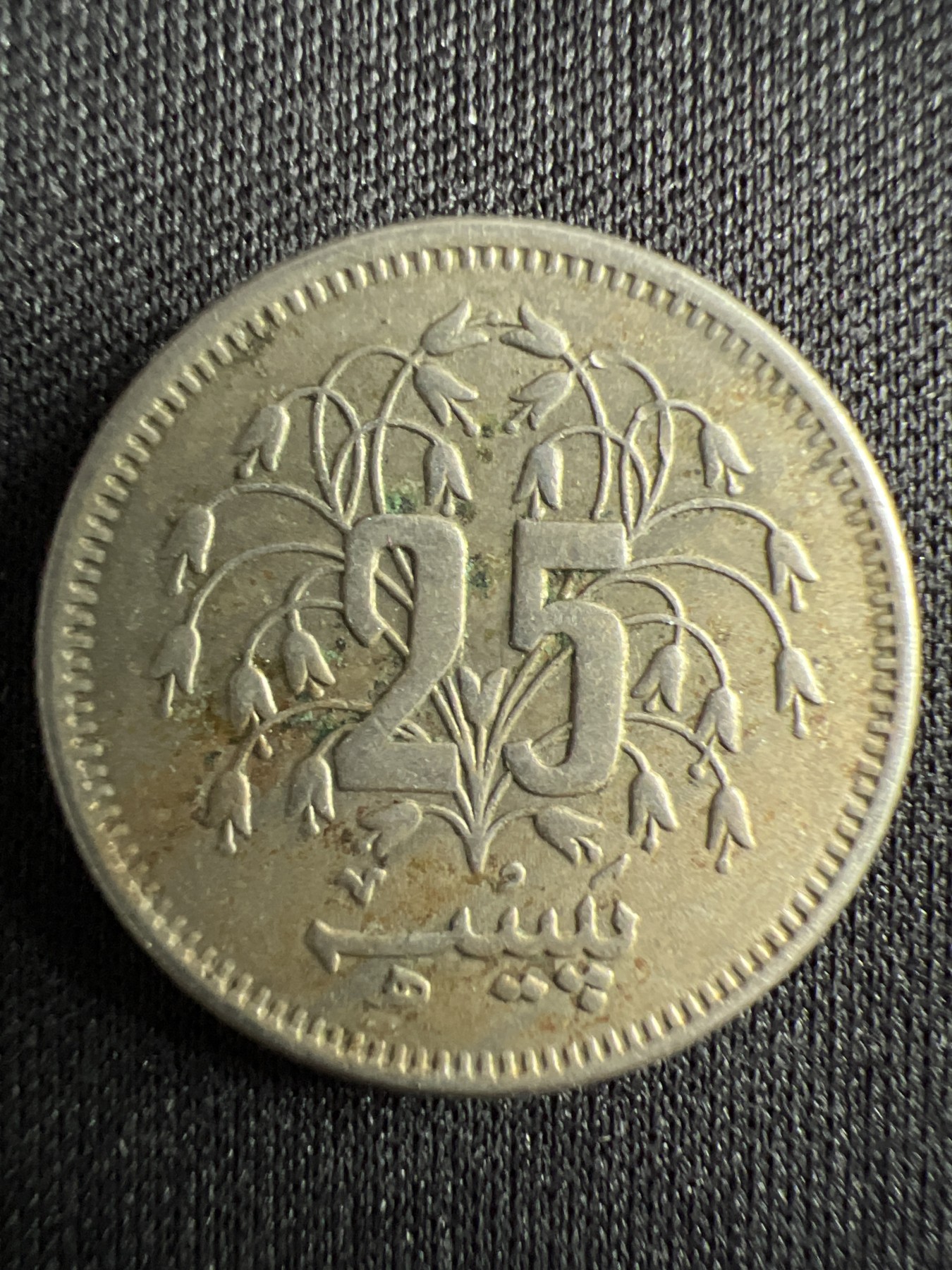 泡泡堂第367期  硬币专场 （无押金，捡漏，全场20包邮，偏远地区除外，接收代拍业务） 巴基斯坦25派沙