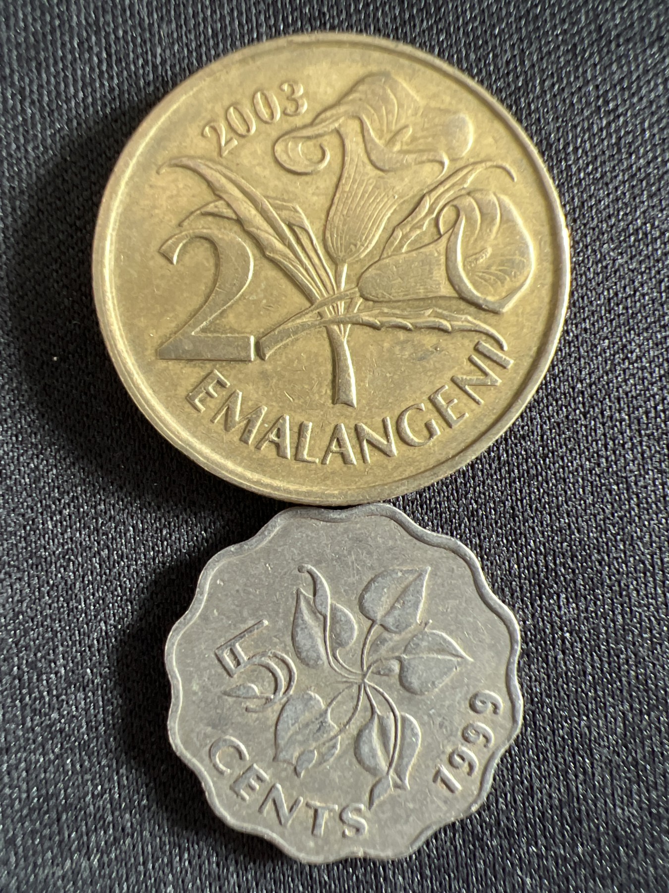 泡泡堂第368期  硬币专场 （无押金，捡漏，全场20包邮，偏远地区除外，接收代拍业务） 斯威士兰两枚