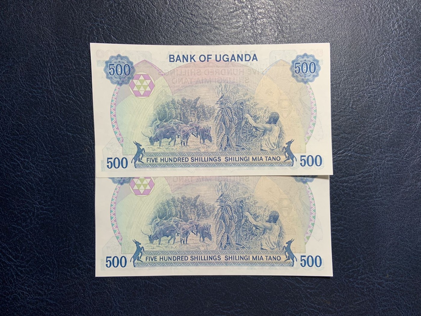 收藏联盟Quantum Auction 第277期拍卖  乌干达1986年500先令 品相UNC 早期大票幅