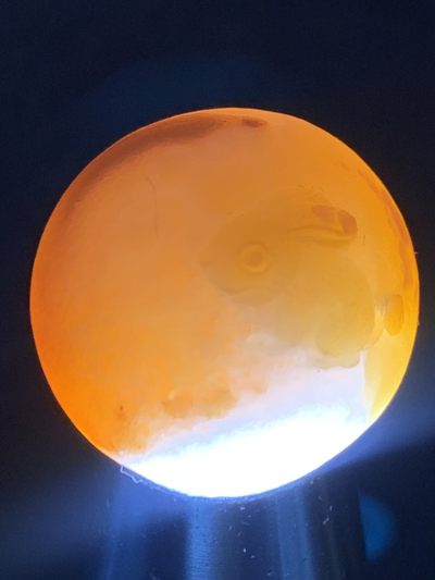 精美亚光冰飘战国红玛瑙手工俏色巧雕金兔随形珠一个， 精美亚光冰飘战国红玛瑙手工俏色巧雕金兔随形珠一个，