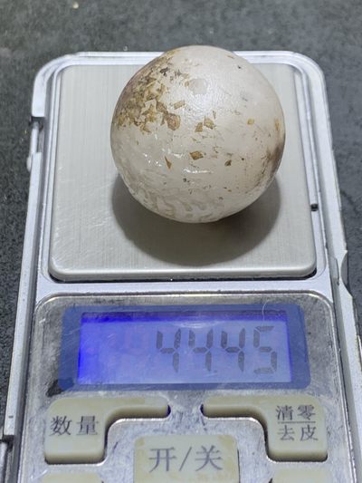 精美亚光冰飘战国红玛瑙手工雕刻招财进宝大圆珠一颗！寓意：招财进宝 精美亚光冰飘战国红玛瑙手工雕刻招财进宝大圆珠一颗！寓意：招财进宝