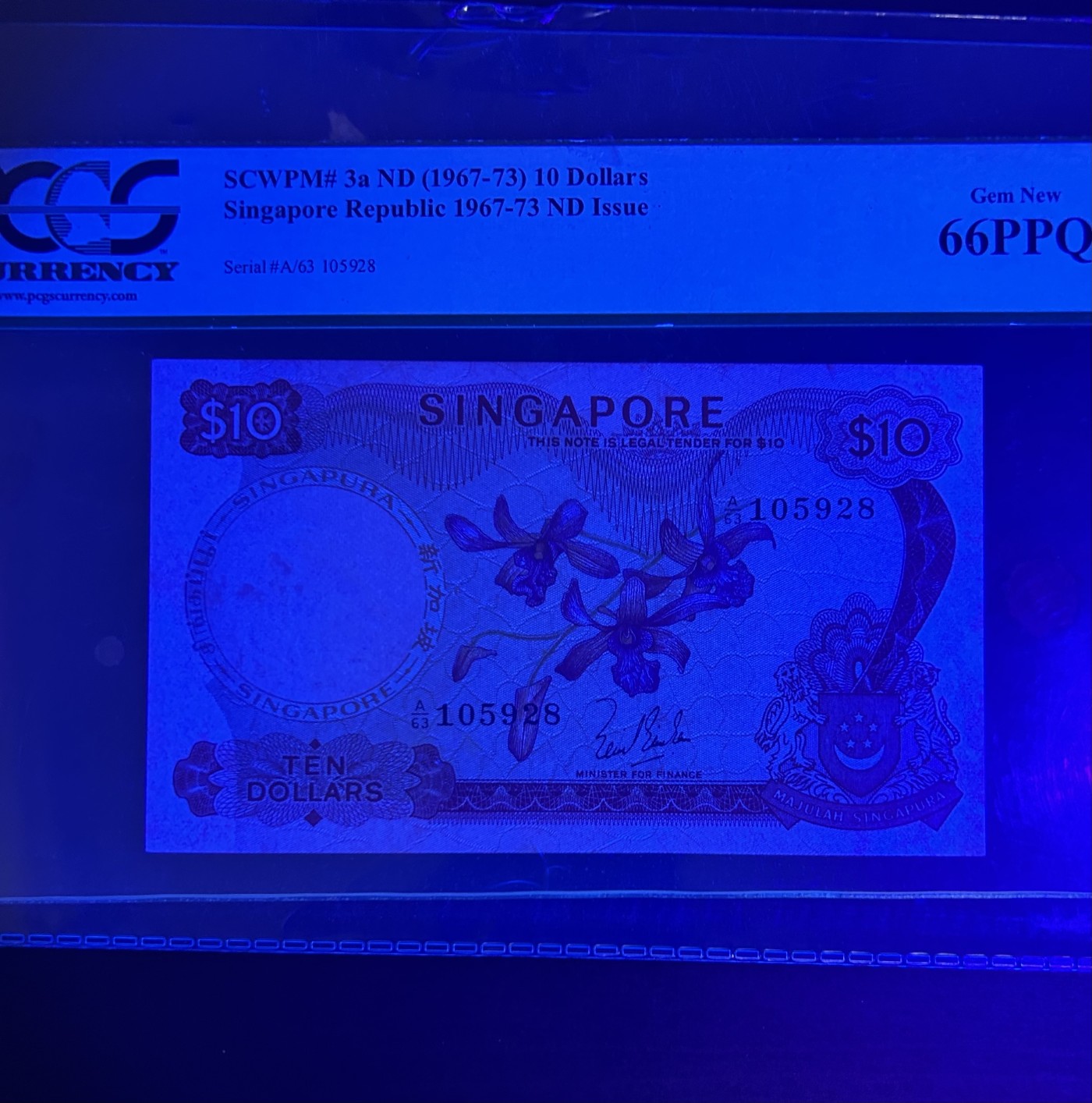 【丑猫】今晚七点【自动快拍】 新加坡10元胡姬花