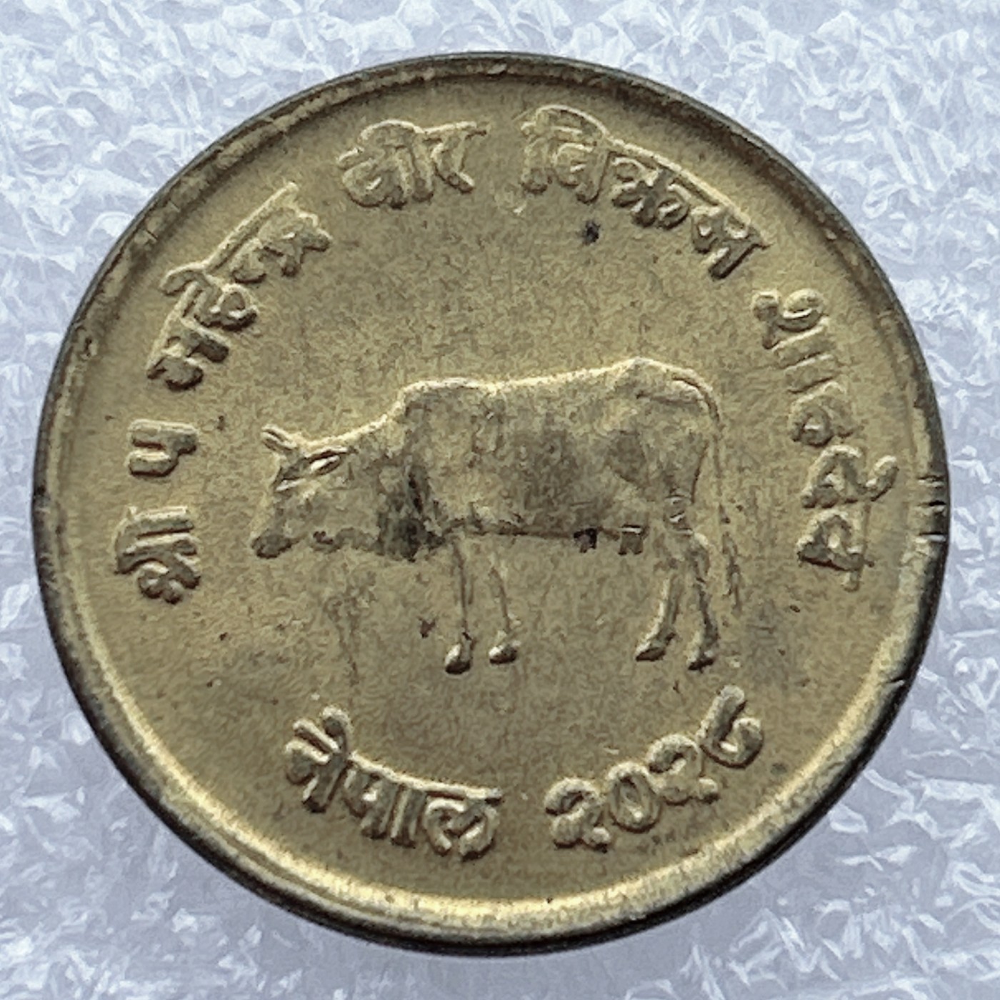 全场一元起拍 世界钱币散币场 第12期 尼泊尔 1971年 10派沙 FAO纪念币