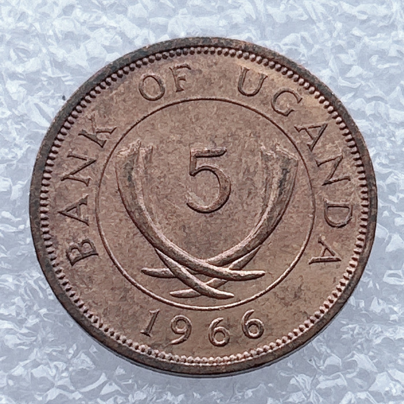 全场一元起拍 世界钱币散币场 第12期 乌干达1966年5分 花朵装饰 首年份