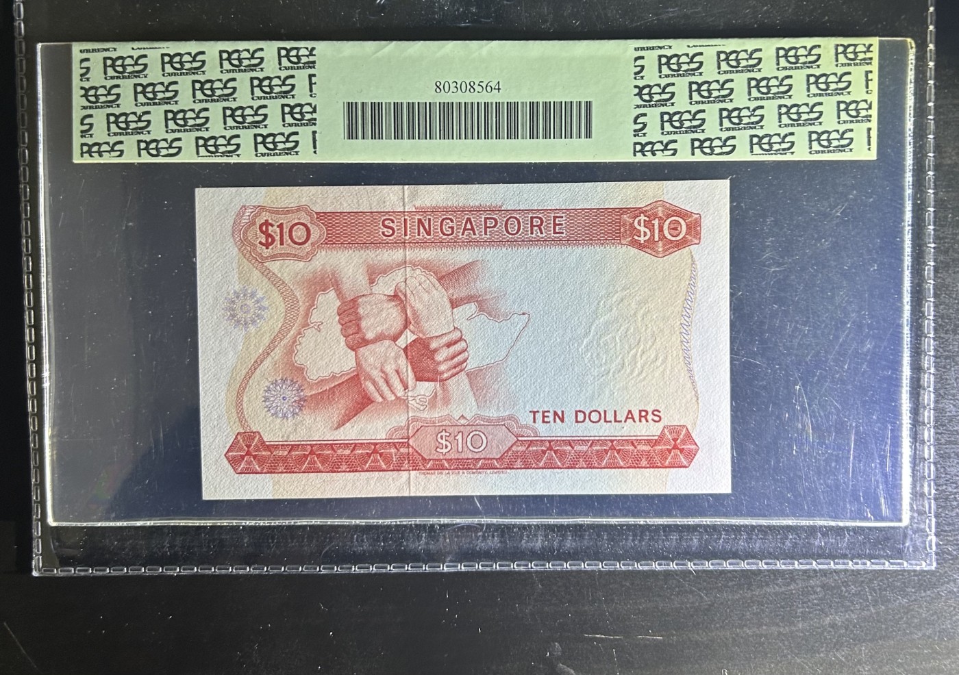 【丑猫】今晚七点【自动快拍】 新加坡10元胡姬花