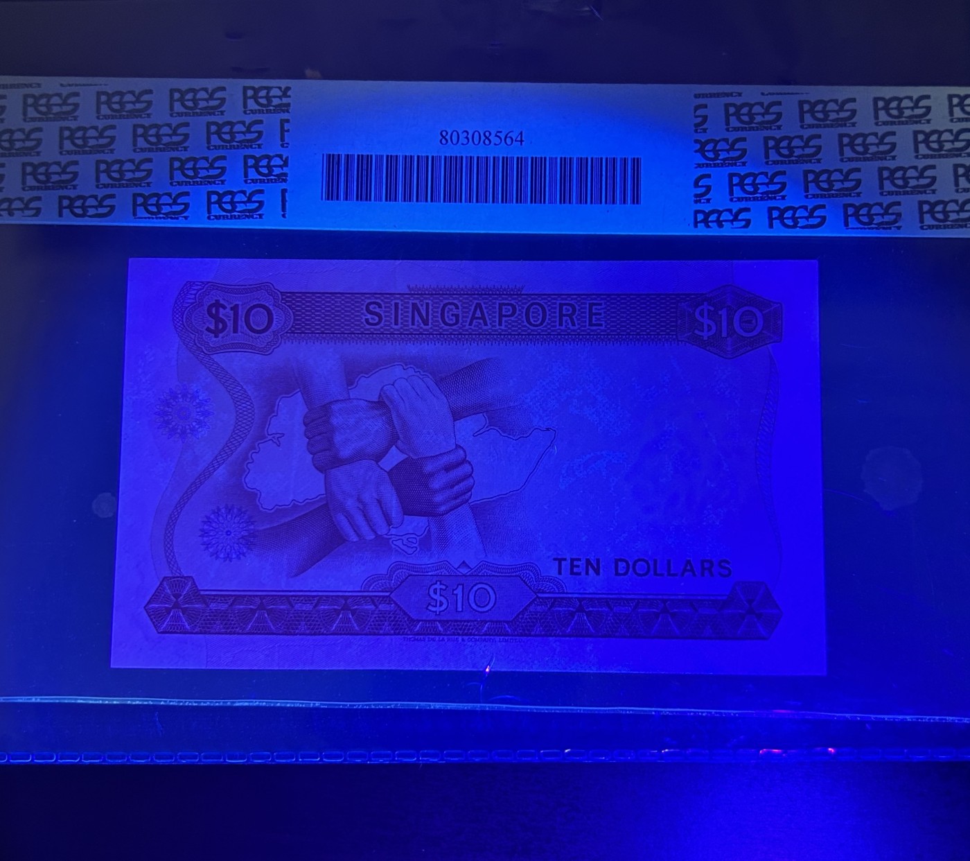 【丑猫】今晚七点【自动快拍】 新加坡10元胡姬花