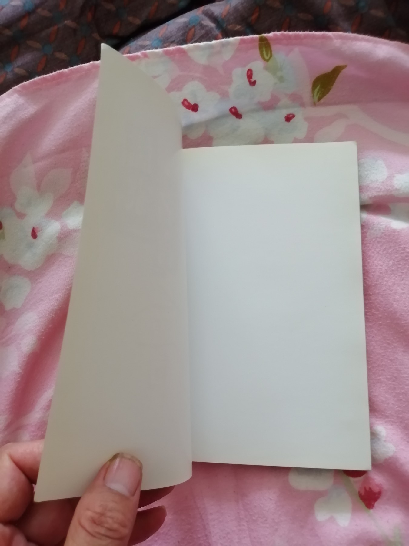 儒家名言金句