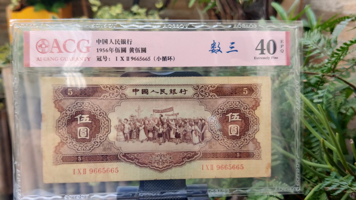 评级币混拍 二版黄伍元 102-9 665 665 数三  小循环  全程无47  爱藏40E