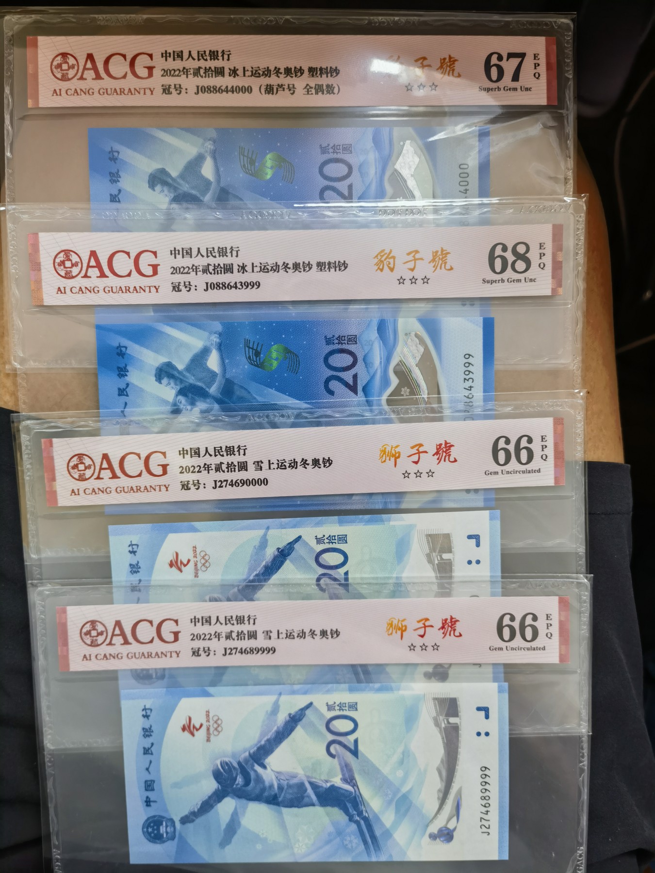 八月，等秋来 北京冬奥会，豹子号一对，狮子号一对。