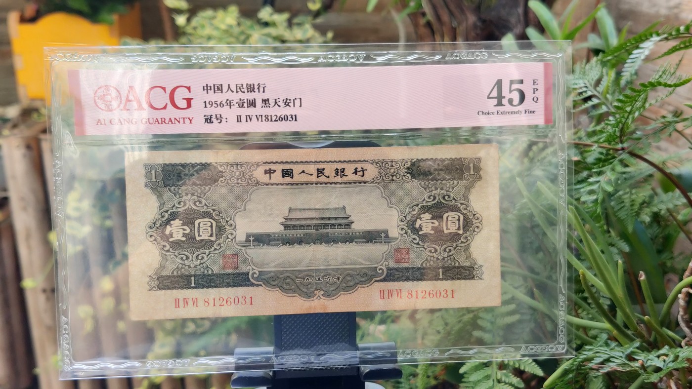 评级币混拍 二版黑一元，   246-8126031    无47  ACG45E