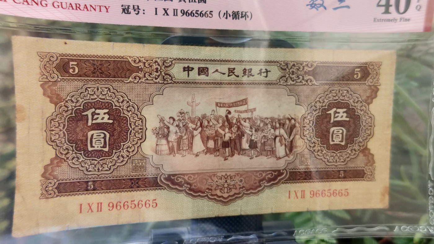 评级币混拍 二版黄伍元 102-9 665 665 数三  小循环  全程无47  爱藏40E