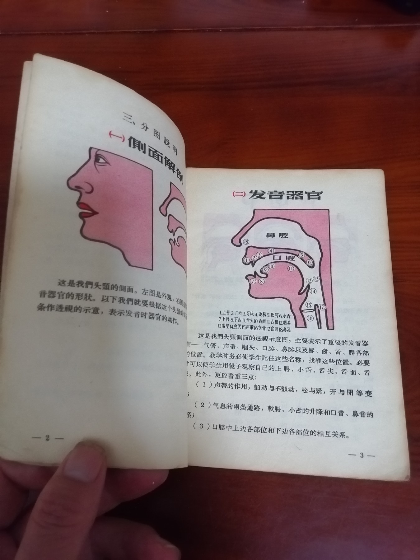 汉语拼音字母发音示意图解