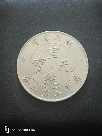 湖北宣统银币 - 湖北宣统银币